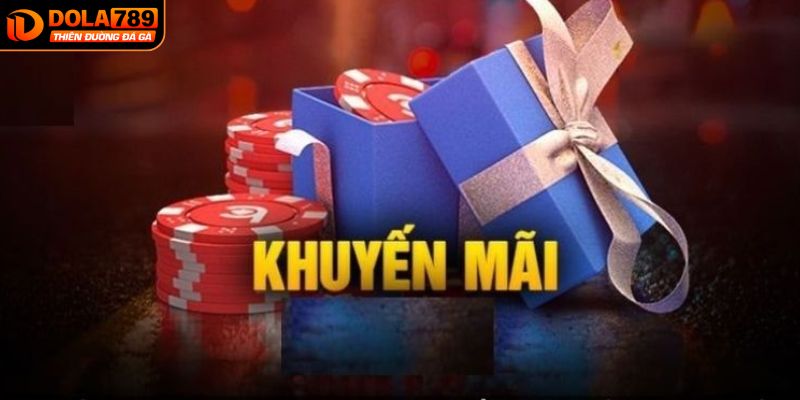 Điều khoản điều kiện khuyến mãi tại nhà cái