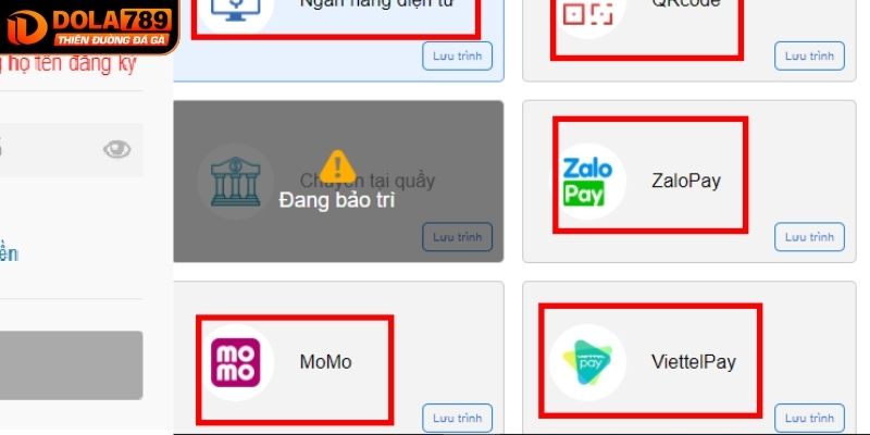 Sử dụng ví điện tử để nạp tiền DOLA789